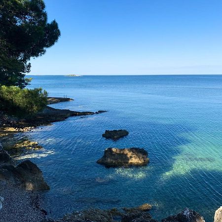 App Fiorela Poreč Exteriör bild